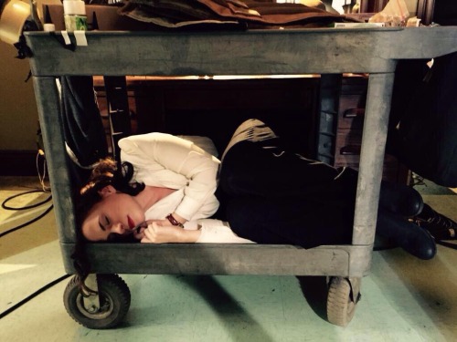 missdontcare-x:@HayleyAtwell: Napping where I can…lookit the kitty Carter