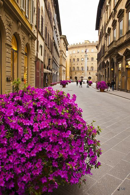 futuristicgentlemenengineer:  riccardo-posts:  Via Tornabuoni, Florence, Italy   ⚜️