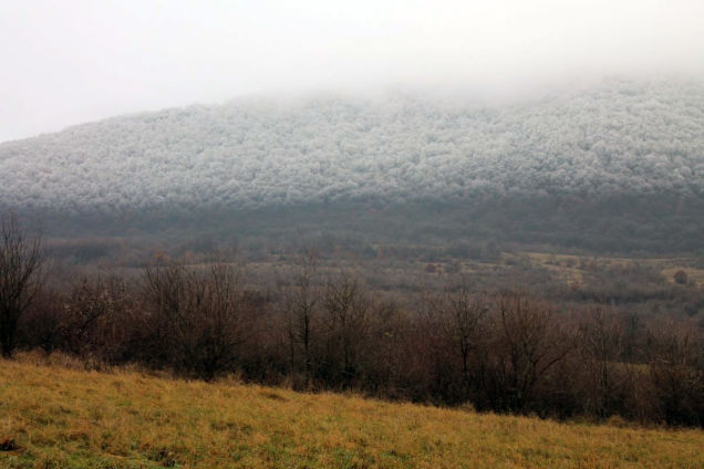 sixpenceee: Rapidly sinking temperatures in Hungary caused a fog to freeze on top