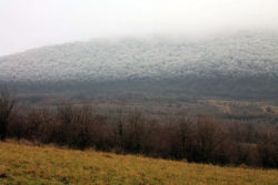 sixpenceee: Rapidly sinking temperatures in Hungary caused a fog to freeze on top of a hill. This was the result. It looks like a real life Frozen. (Source) 