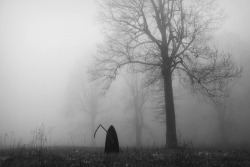 DIE WITHOUT HOPE