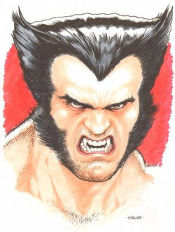 wolverineholic:  by Kevin Maguire