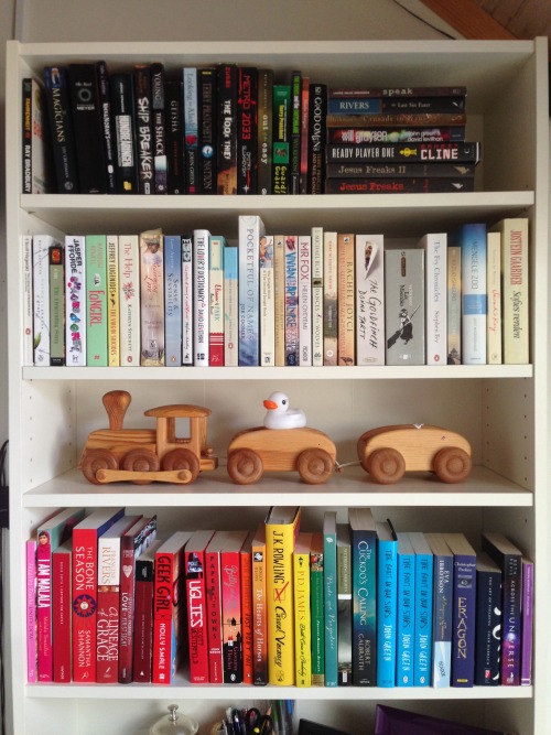 teachingliteracy:  homeiswhereyourbookshelfis&rsquo; general bookshelf, recently sorted after ha