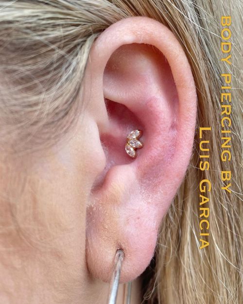 Fresh conch with a lovely 18kt rose gold CZ marquise fan from @anatometalinc #conchpiercing #piercin