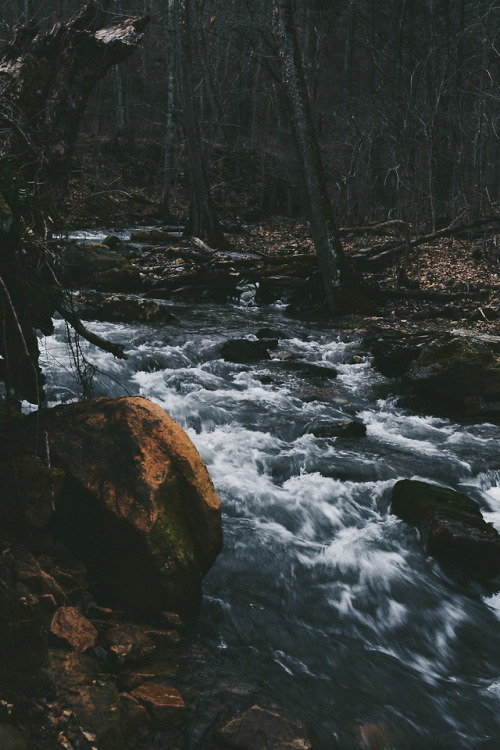 Trail vibes.