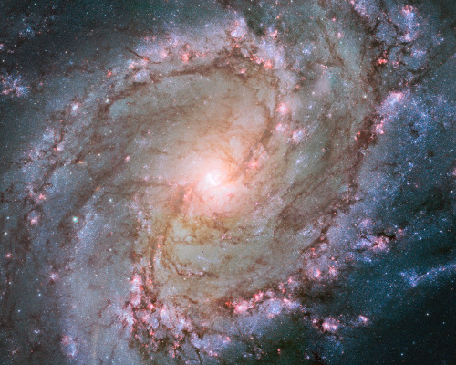 M83 - Barred Spiral Galaxy