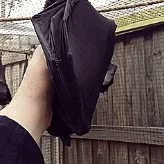  🦇° Bat Stimboard °🦇