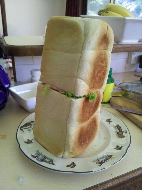 I forgot how to make a sandwich, so I improvised adult photos