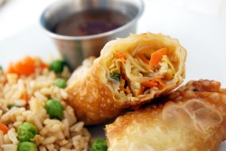 o-b-c-t:  eggroll follow me and discover