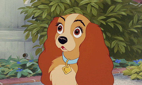 disneyfansonly:  Love Disney? This blog is everything Disney! 