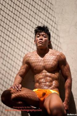 asianmalemuscle:  Enjoy thousands of images in the archive: http://asianmalemuscle.tumblr.com/archive