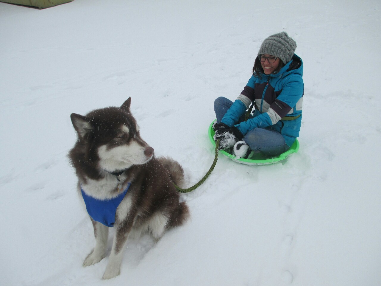 hotdiggitydog-blog:  Nope, no way, not gonna happen. Not for all the treats in the