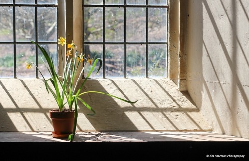 Church Light - Dorset, Summer 2018.Instagram© Jim Paterson - All rights reserved.