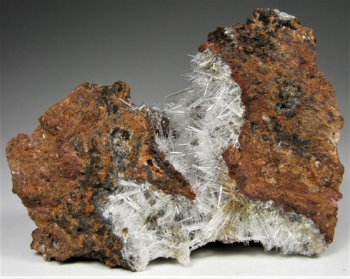 Scholzite on matrix - Reaphook Hill, Martins Well, Flinders Ranges, SA, Australia