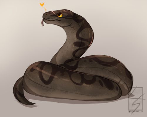 littlewolfofnosgoth:What if…Mae can turn into a snake?(Honestly I’m willing for Snake!Mae asks in th