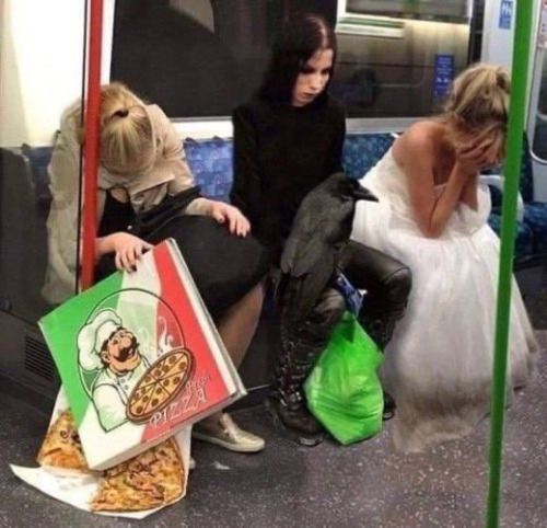 They Took The Midnight Train Going Aaanyyywheeeereeee.