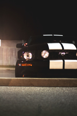 thetimslot:  Mustang 