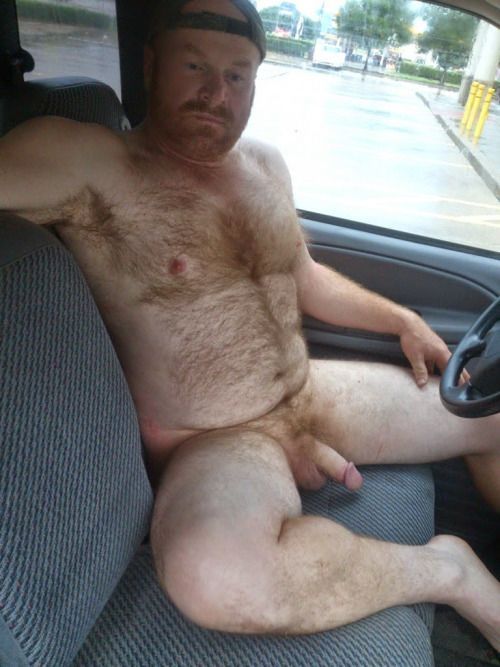 Joetowncub's Daddy bears, chubs and cubs