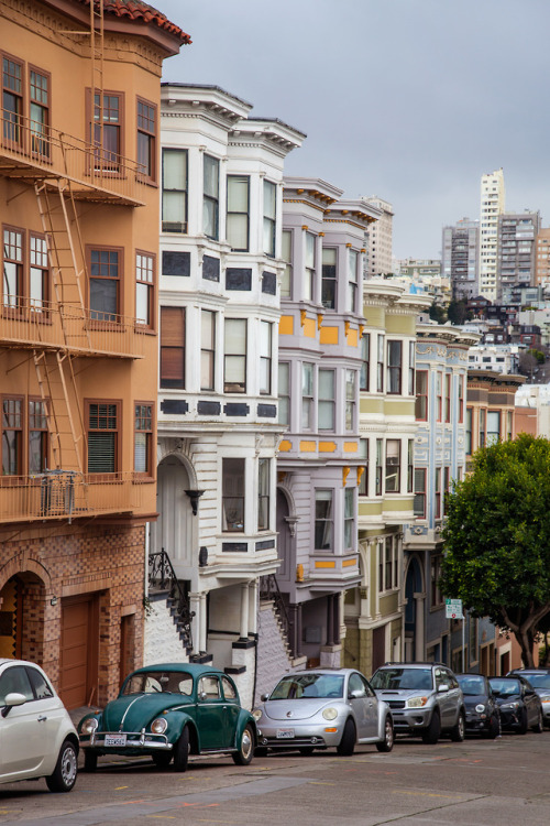 Telegraph Hill | San FranciscoPhoto by Mina Seville