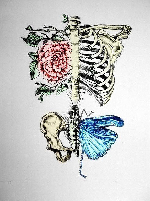 222gypsysoul:  we’re all connected. 