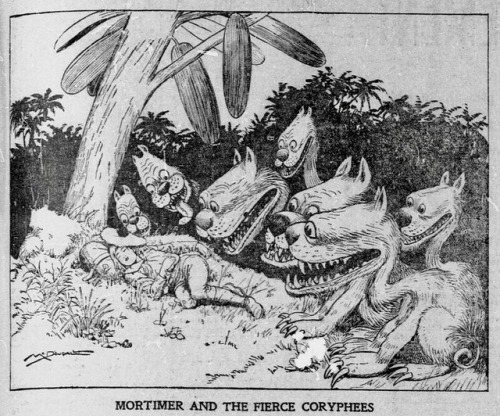 Mortimer and the Fierce Coryphees.Walt McDougall illustration from the Salt Lake Herald. 1902. Good 