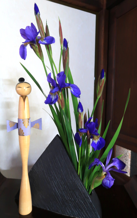May Ikebana - IrisesSome of the irises from our garden. 