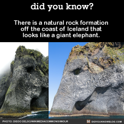 did-you-kno:  There is a natural rock formation off the coast of Iceland that looks like a giant elephant.   Source