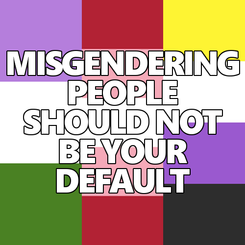 queerlection:[Image description - Images of the genderqueer, transfeminie and nonbinary pride flags 