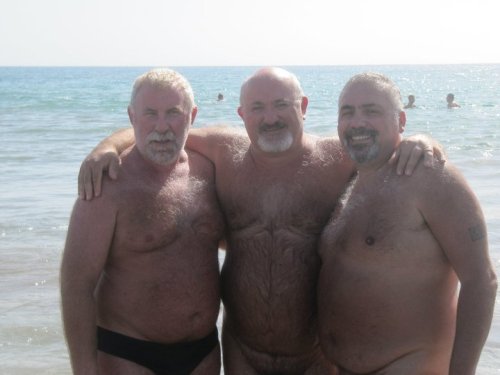 I would gladly play Goldilocks for these three bears (though I’m sure they’ll all just r