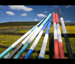 horseswag:  Equestrian poles by bacupmick on Flickr. 