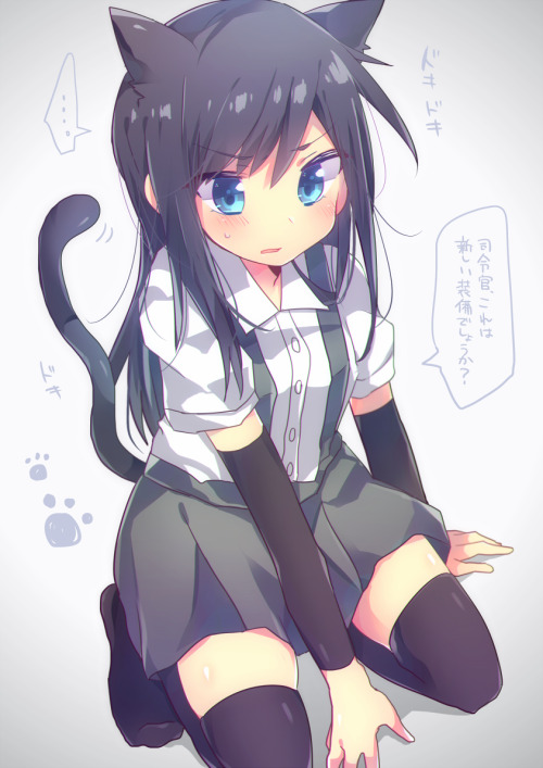 yzat3:  cats2_6265.png
