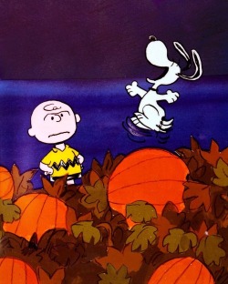 collectemall:  Looks like somebody is excited to see The great Pumpkin. 
