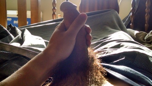 magnums-sexy-stuff:  Good morning to my first follower @memoirsofatranswoman who I happen to know loves fat hairy cocks and balls.   Wow!