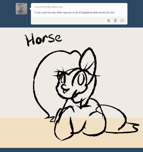 Ask The Butt Pony