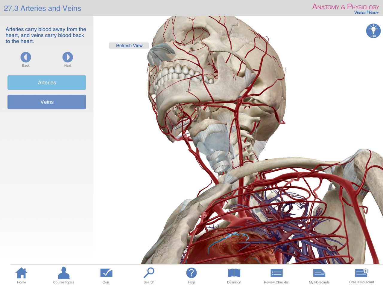 visible body app mac