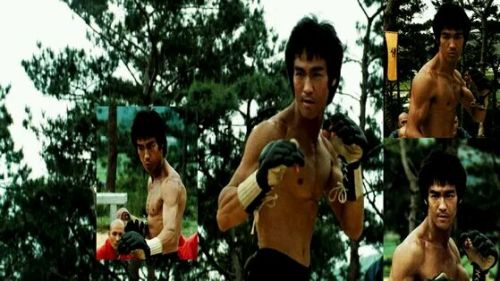 taichi-kungfu:  Bruce lee was the father of MMA, the master of Kung fu.