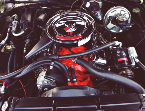 XXX theoldiebutgoodie:  1969 Chevrolet Chevelle photo