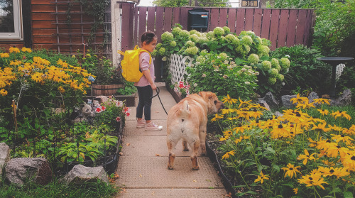 Kid and dog.