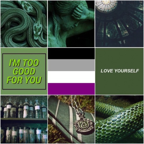 Ace Slytherin with Large Ego Aesthetic for @three-cats-in-a-trench-coat ! -Mod Loki