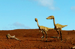 chocolateandpeanutcandy:  Over-bright dinosaurs