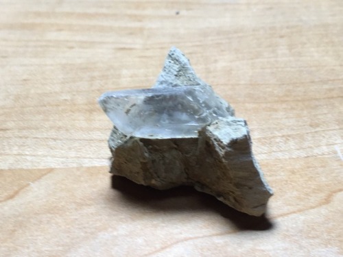 cc-da-wolf:One of the crystals popped out of the clay, but the other didn’t and it’s now a display s