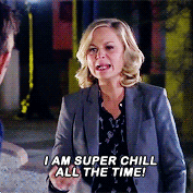 chrsevans:which leslie knope are you?