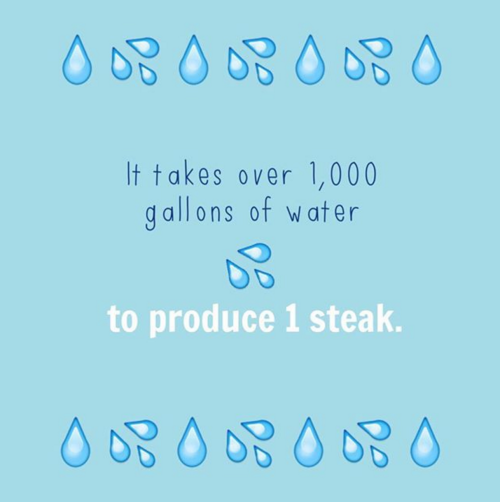 peta2: Save waterGo vegan. Save steak, drink apple juice.