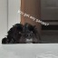 charliewelcomesyoutohell