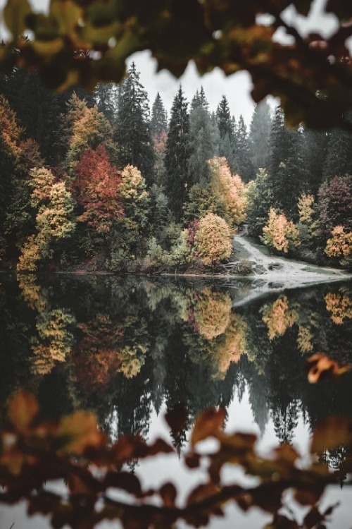 maureen2musings:One of these daysjessicatabarelli