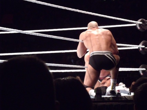 thenighttimemusings:  If you’d ever love a zoomed in close-up of Cesaro’s back, here you go.