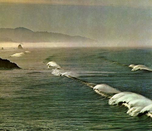 Ecola State Park on the Oregon coast.THE PACIFIC COAST | Ray Atkeson ©1971