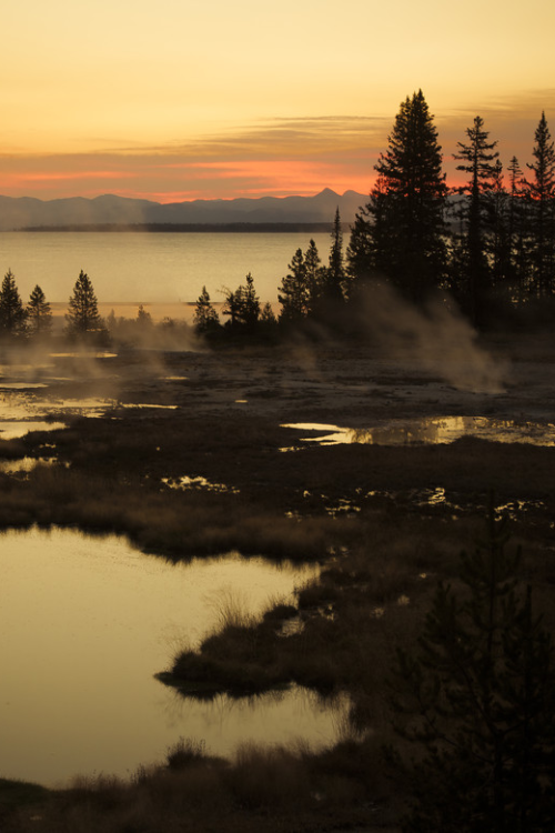 wiccan-wisdom:  sundxwn:  Good morning by Jacques-Andre Dupont  ⋆ 