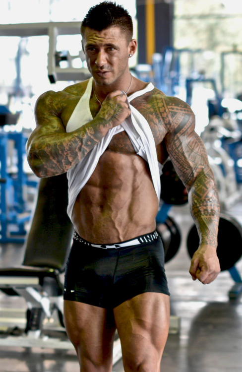 Adonis Files