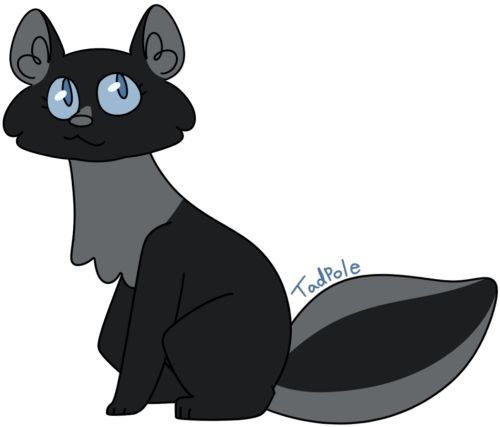 [Image Description: A digital drawing of Tadpole from the Warrior Cats books. Tadpole is a black kit